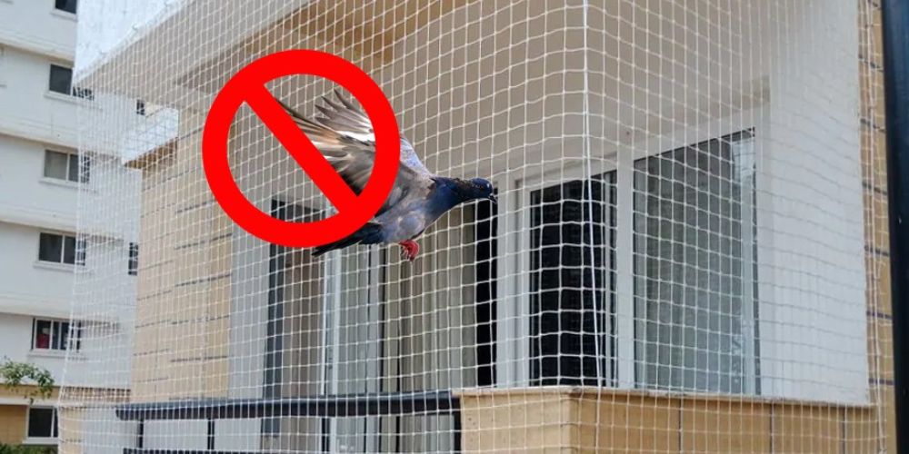 Pigeon Safety Nets Installationa in Chennai